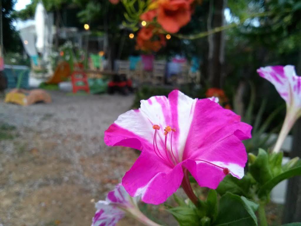 桑加拉达 奥多斯肯塔维荣旅馆酒店 外观 照片